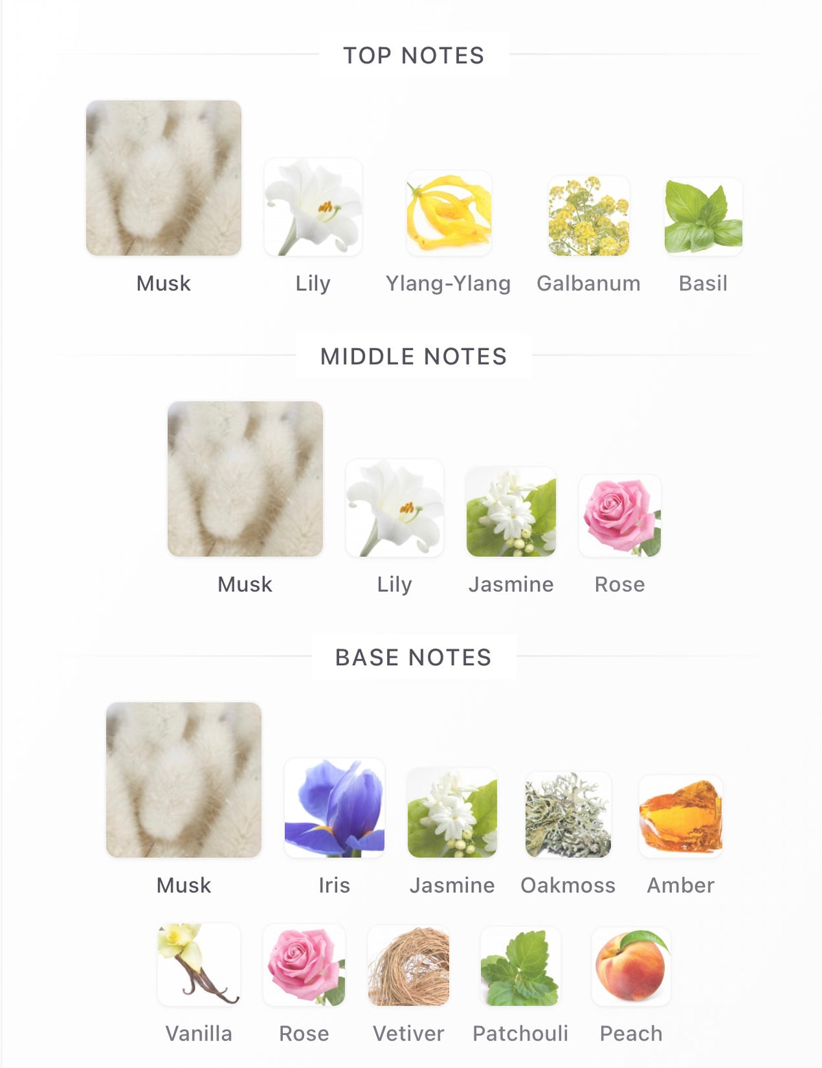 White Musk Body Mist