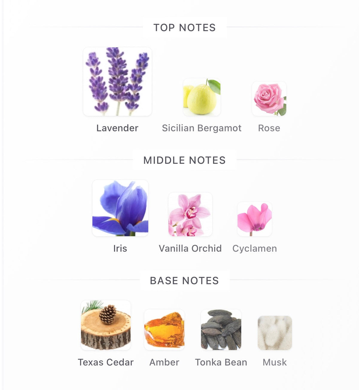 French lavender Bikini serum