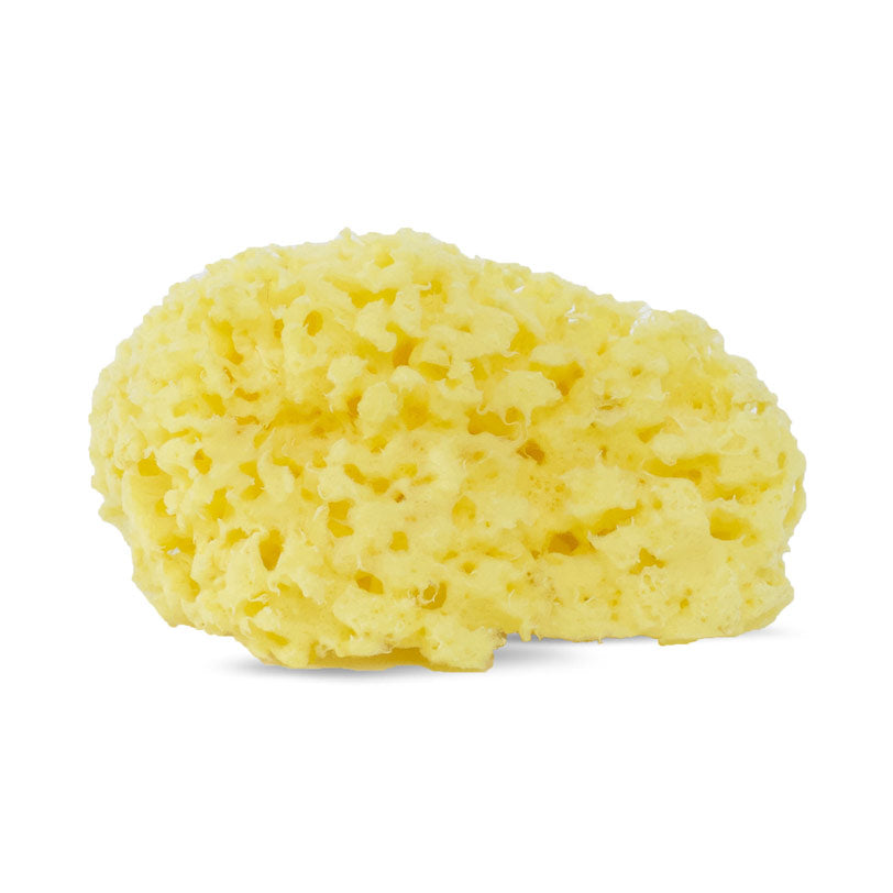 Soft natural sea sponge ( Yellow)